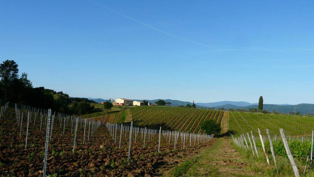 Villa Pian De Noci - Tenuta Del Palagio Mercatale Val Di Pesa ภายนอก รูปภาพ